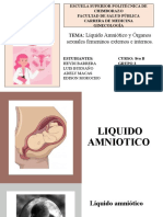 GRUPO_3_LIQUIDO_AMNIOTICO_Y_ORGANOS_FEMENINOS_INTERNOS_Y_EXTERNOS