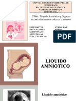 Grupo 3 Liquido Amniotico y Organos Femeninos Internos y Externos