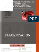 GRUPO 2- Placentación, desarrollo y fisiología fetal