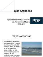 Playas Arenosas