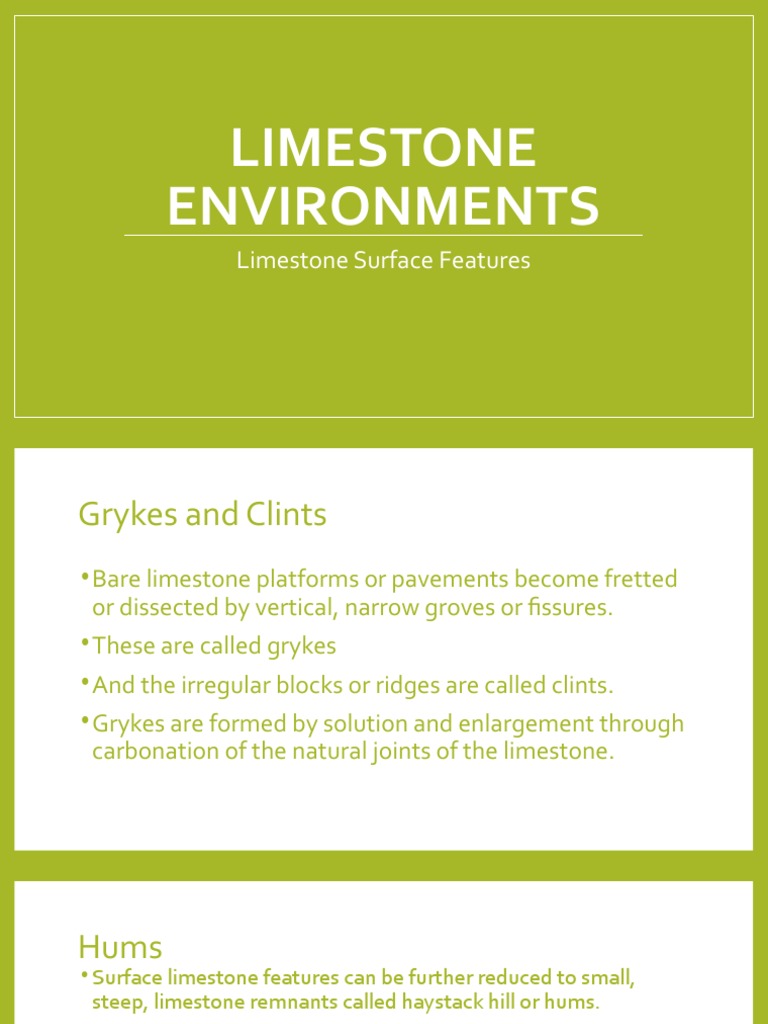 Limestone Environments Clints and Grykes PDF