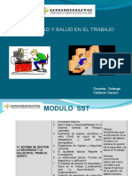 Definiciones, Programas, Riesgos, Seguridad y Salud en El Trabajo