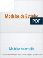 Modelos de Estudio