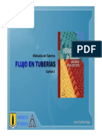 Capitulo1 PDF