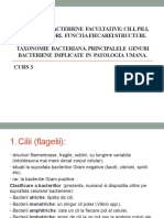 CURS 3 Structuri Bacteriene Facultative. Taxonomie