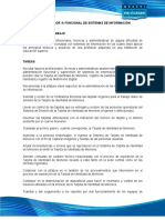 Administrador Funcional Sistemas Informacion Pa1