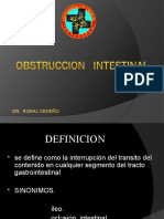 Obstrucción Intestinal