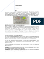 Tarea #5- Ensayo sobre el Ciclón Tropical .pdf.docx