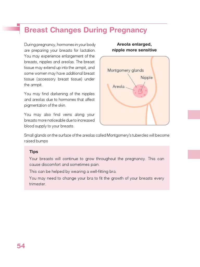 Nipples Changing Color Early Pregnancy