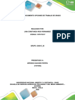 Fase 1 - Reconocimiento Opciones de Trabajo de Grado