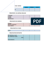 Estructura Flujo de Efectivo y Presupuestos-3