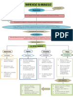 Esquema Del Barroco Inmenso