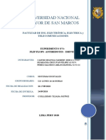 Informe 2, Sdii