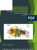 Elaboración de Suplementos para Alimento Animal Con Subproductos