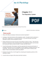 Human Anatomy & Physiology: Chapter 21-1