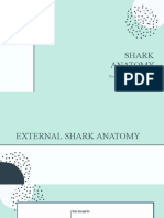 Shark Anatomy: Presented By: Danakey Centeno