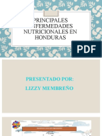 Principales Enfermedades Nutricionales en Honduras Lizzy Membreño