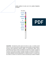 Uroanalisis Bioquimica