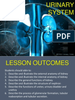 Chapter 5 - Urinary System RP PDF