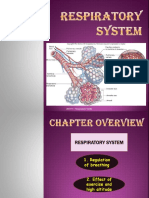 Chapter 7 - Respiratory System RP1 PDF