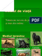 Mediile de Viata