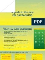 A Guide To The New Ebl Skybanking
