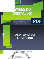 Bases Do Cristalino - Luana Braga - Bloco de Catarata PDF