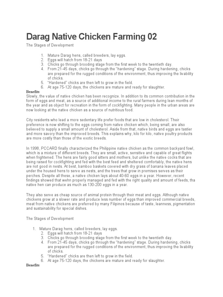 Darag Native Chicken Farming Guide | PDF | Chicken | Egg