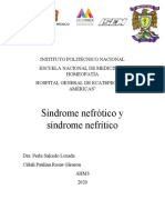 Sindrome Nefrotico y Nefritico