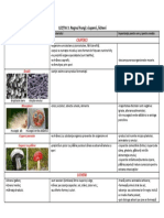 Fungi Ciuperci Licheni PDF