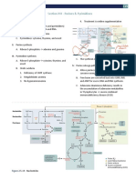 Metabolism Section XVI - Purines & Pyrimidines