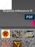 repuesta inflamatoria