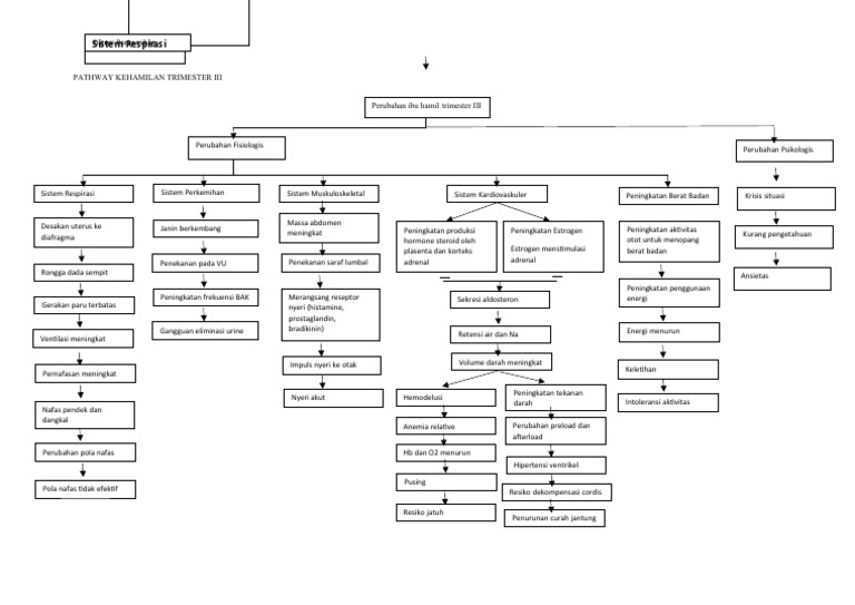 Pathway Kehamilan Trimester Iii PDF