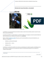 Homologación Soldadura_ CERTICADO DE CUALIFICACIÓN AL SOLDADOR _ El blog de Pardos.pdf