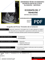 ecografiadelprimertrimestre-170609001721-convertido.pptx