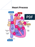 Most Important Nursing Concepts_Heart Process