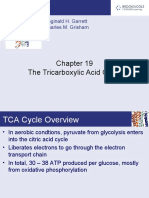 The Tricarboxylic Acid Cycle: Reginald H. Garrett Charles M. Grisham