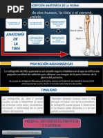 Eficiencia del Método Merchant en Rótula | PDF | Rodilla | Imagenes medicas