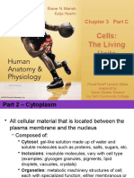 Cells: The Living Units: Chapter 3 Part C