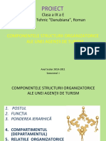 COMPONENTELE_STR_ORG_.ppt