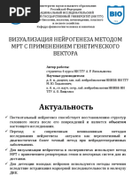 НИ ТГУ