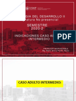 Indicaciones Caso Adulto Intermedio