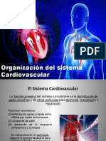 funcion_Cardiaca_4(2).pptx