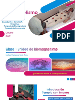 Biomagnetismo clase uno santo tomás.pdf