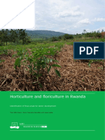 Horticulture and Floriculture in Rwanda: Identification of Focus Areas For Sector Development