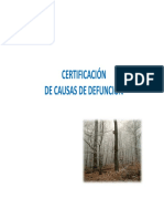 Causalidad Dane PDF
