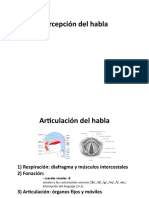 Percepcion-habla.pdf