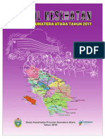 02_Sumut_2017.pdf