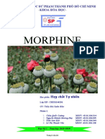 Nhóm 1 Morphine Hợp chất tự nhiên