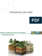 Influência do solo na vida